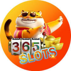 Profile photo of kj365slots