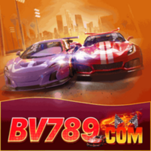 Profile photo of bv789qjxkq