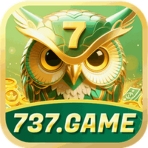 Profile photo of fb737game