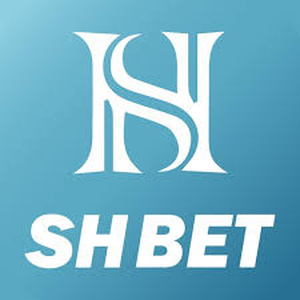 Profile photo of shbetvllzd