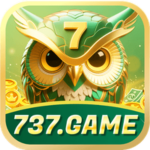 Profile photo of hj737game